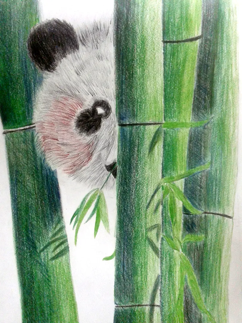 Student's pencil shading artwork of a panda showing detailed texture and depth
